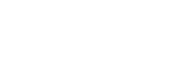 SWP Security