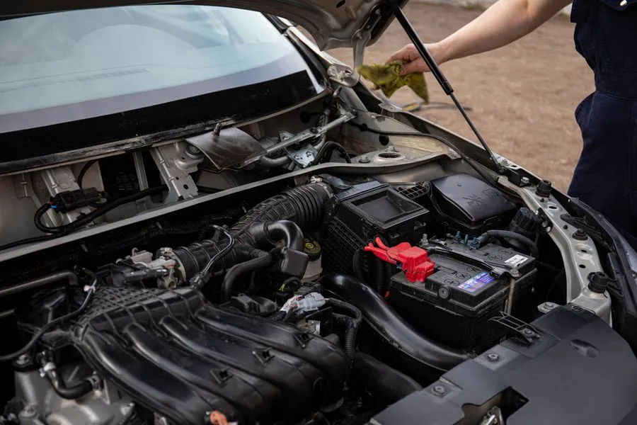 Oil & Filter Change