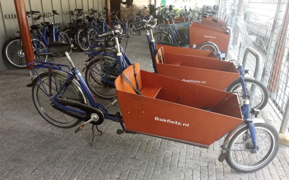 Choosing between a cargo trike and a second car