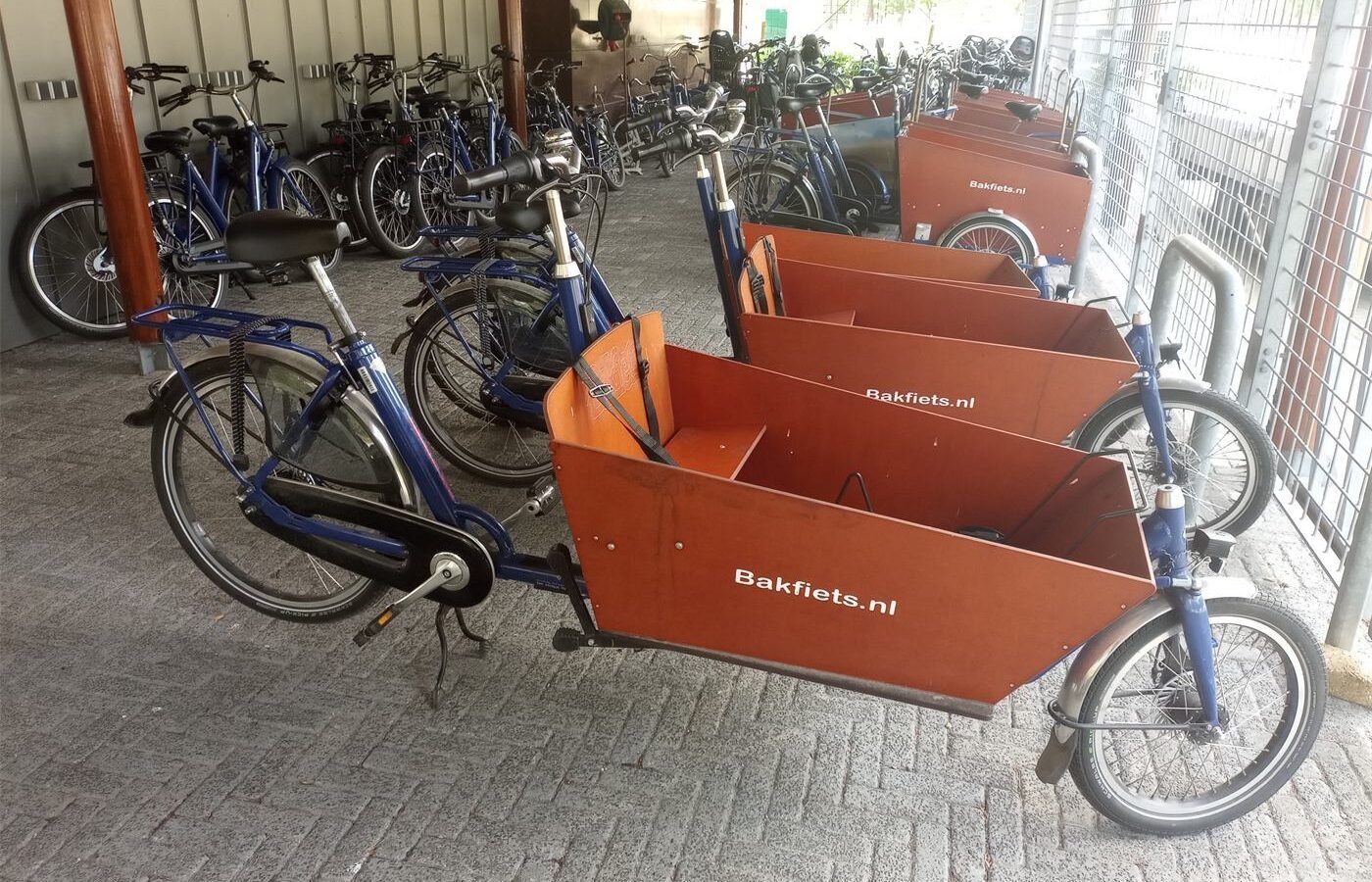 Choosing between a cargo trike and a second car