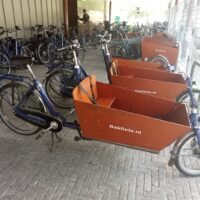 Haul Cargo T2