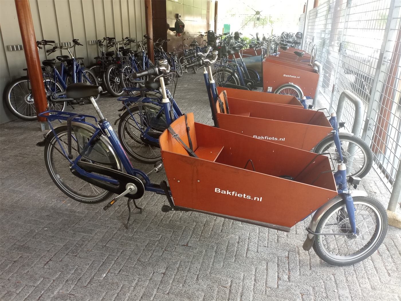 Cargo trikes
