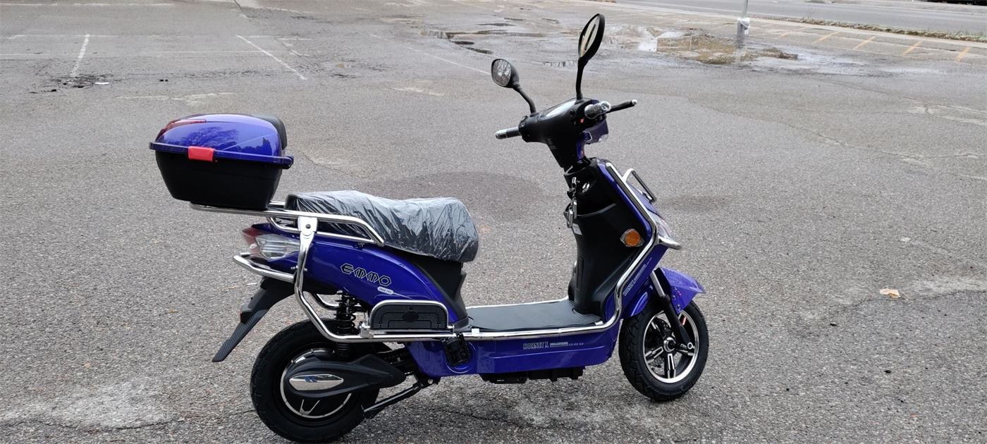 Electric mopeds