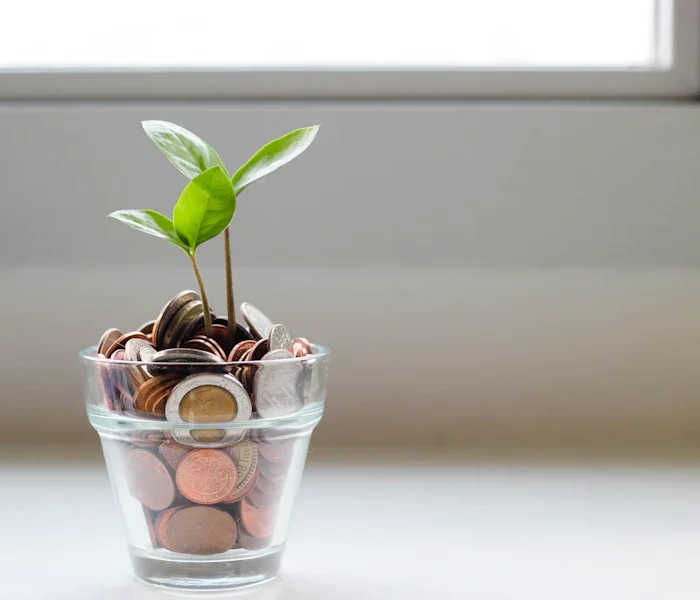 How to read a fund fact sheet: five figures that matter