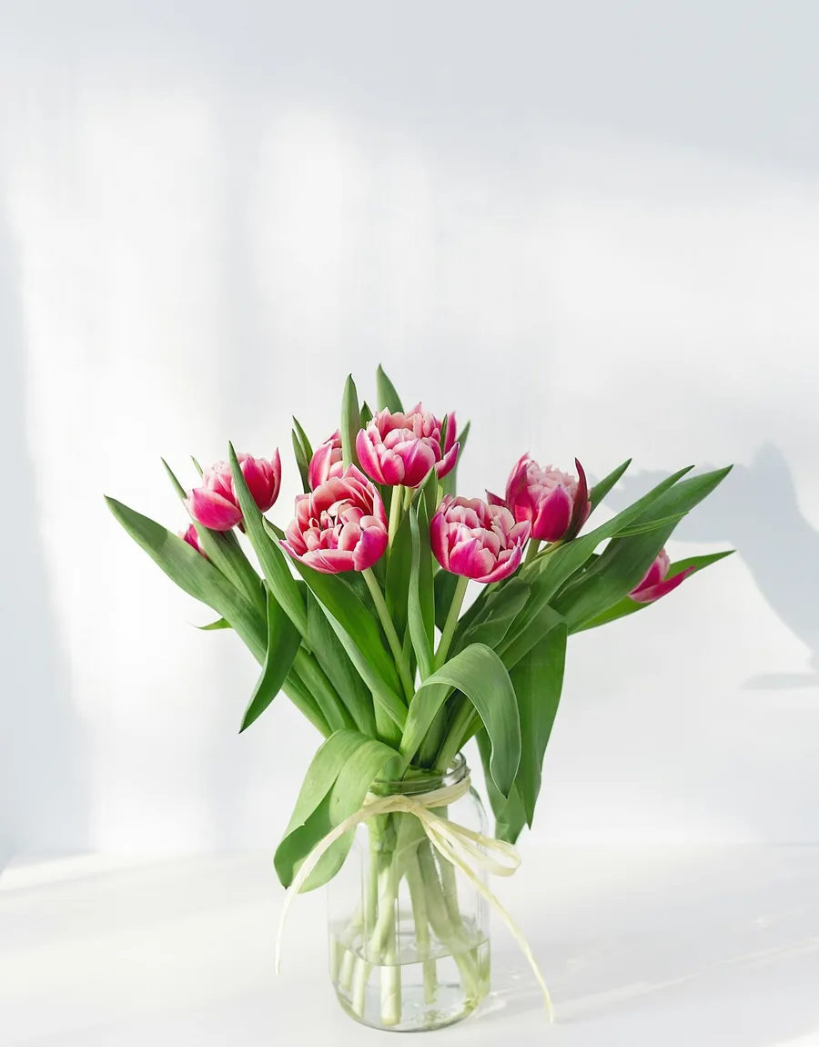 Hand-tied bouquet of blush garden roses wrapped in soft paper