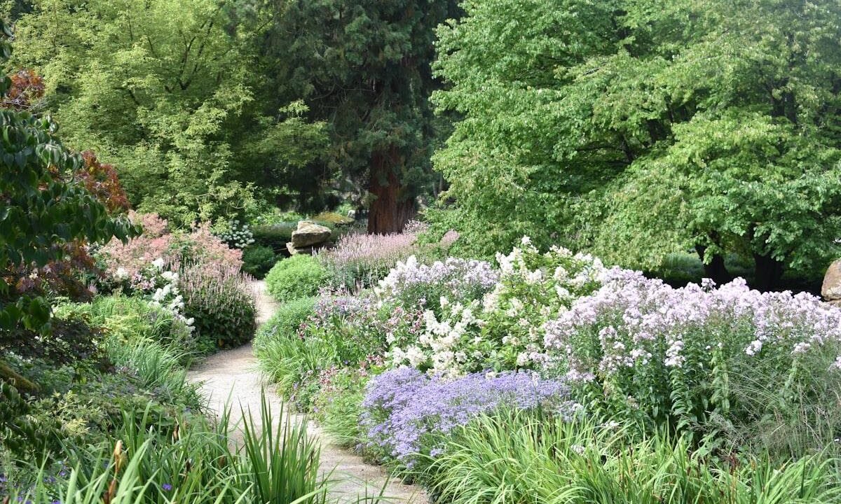 Fernway Cottage Beds