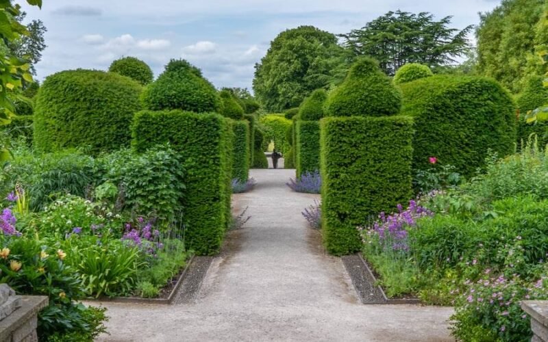 Garden Design & Build