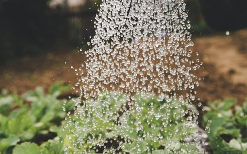 Irrigation & Drainage