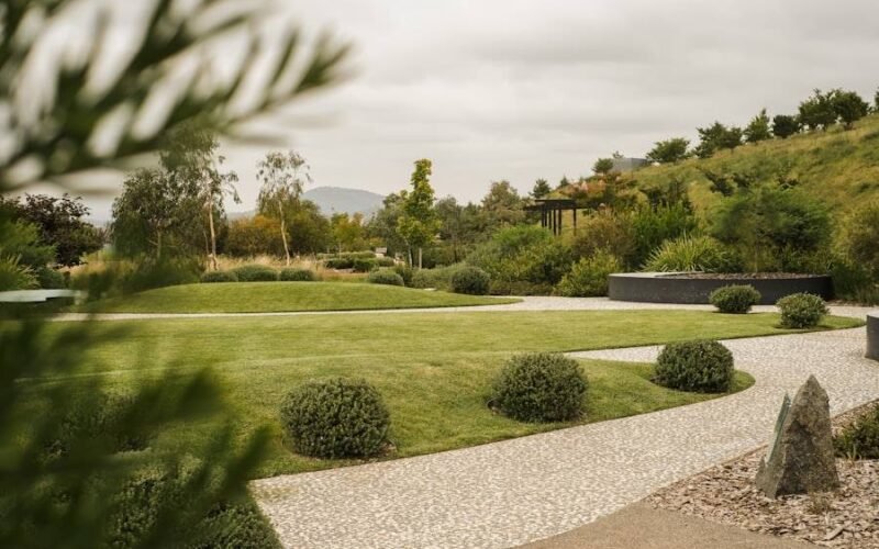 Lawn Care & Turfing
