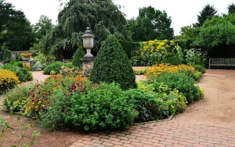 Planting & Borders