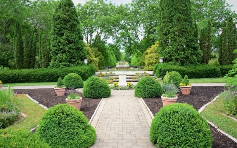 Tree & Hedge Work