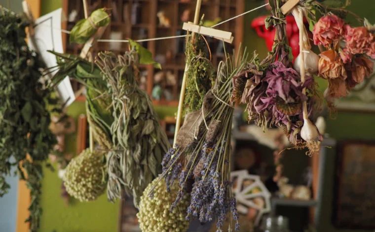 6C, 30C or 200C: how to choose a potency before you add to basket
