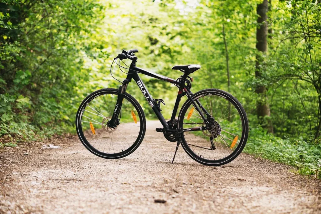 Free bicycles for exploring town