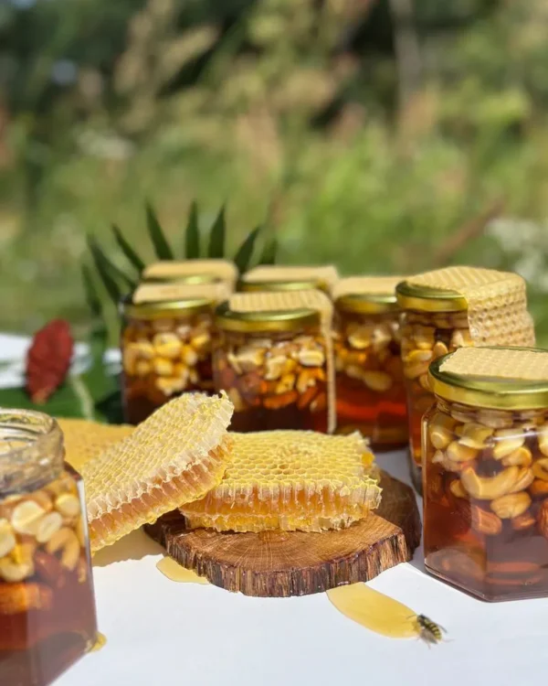 Dark Forest Honey