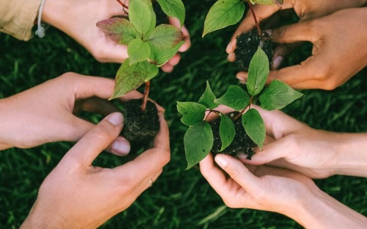 Garden and green waste