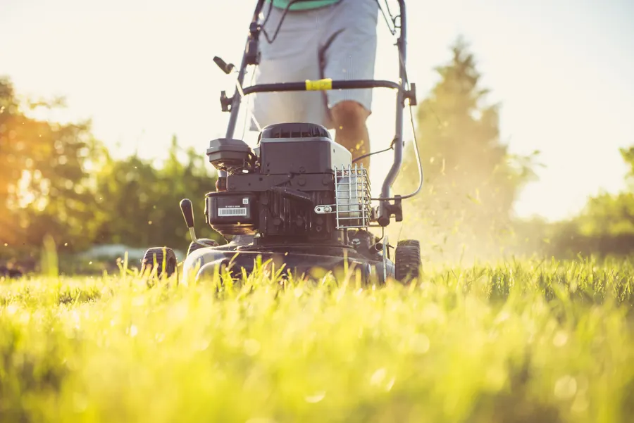 Landscaping crew member caring for a residential lawn