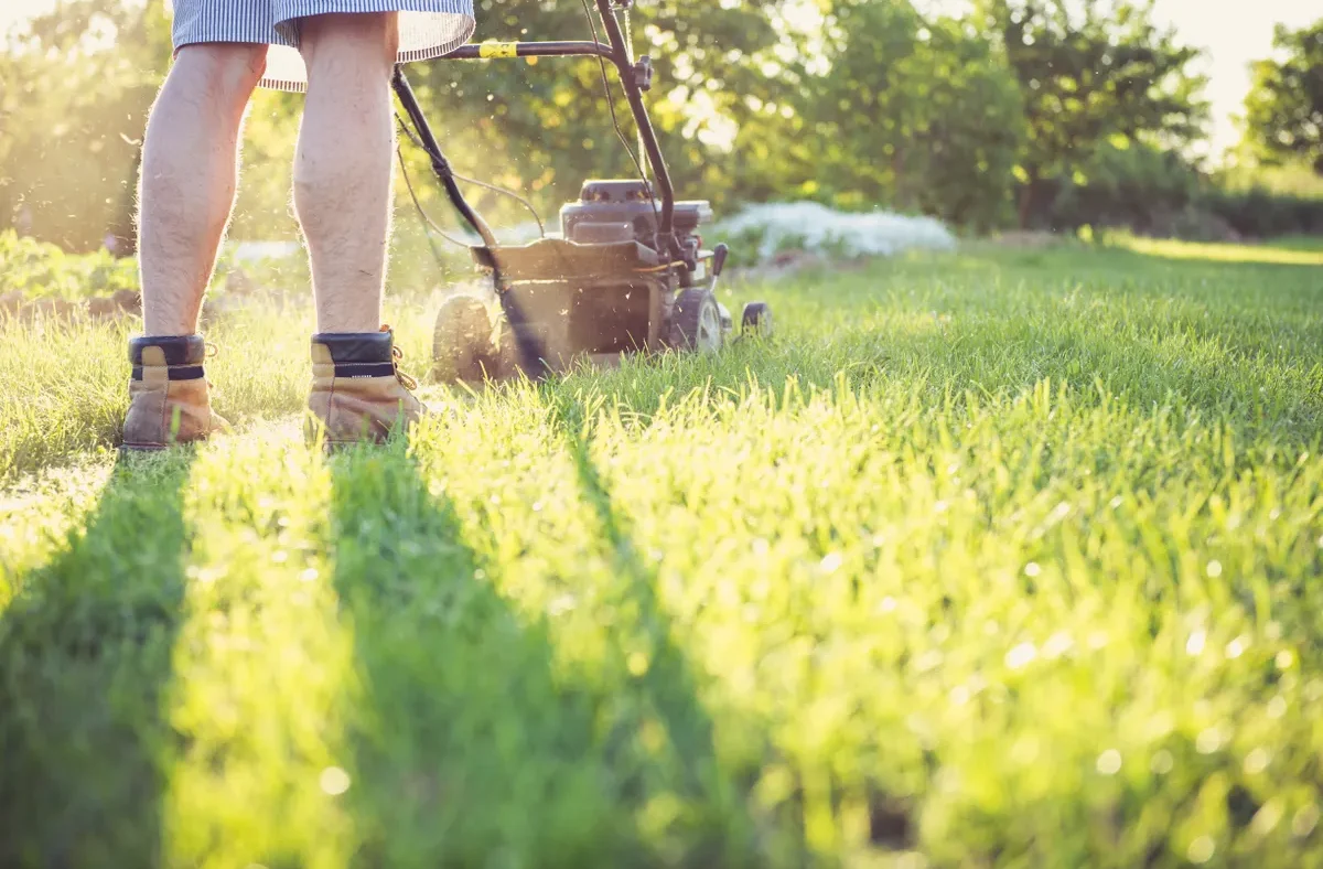 When to prune shrubs (and when to leave them alone)
