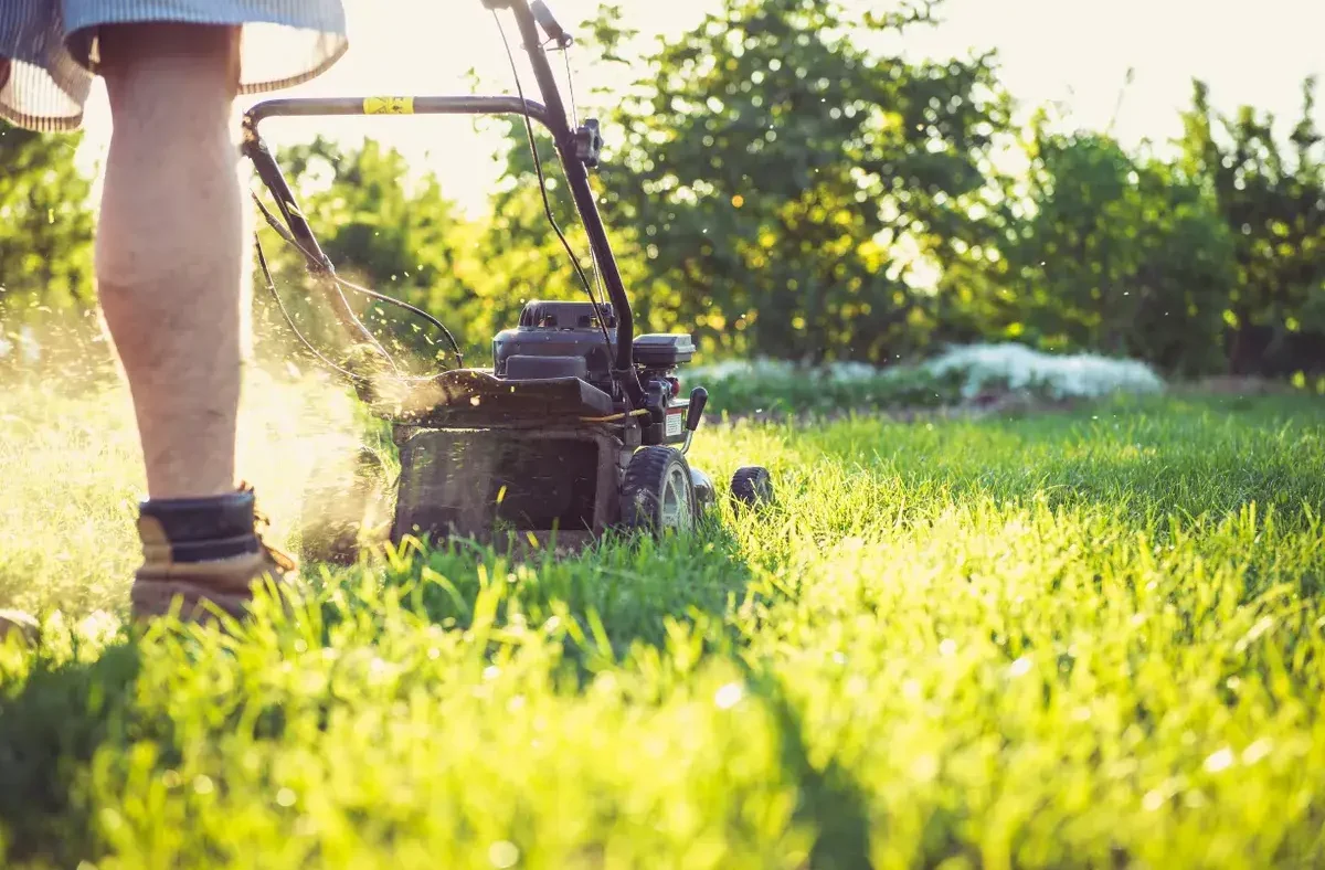 How high should you mow? A season-by-season guide