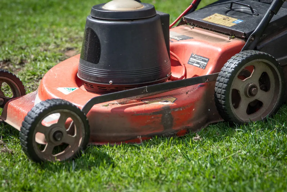 Well-maintained garden lawn