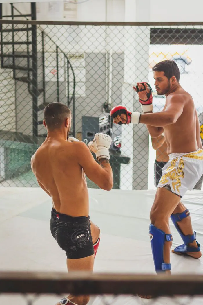 Fighters training with gloves and shin guards