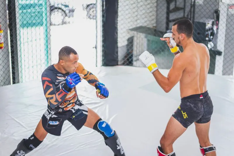 Mixed Martial Arts
