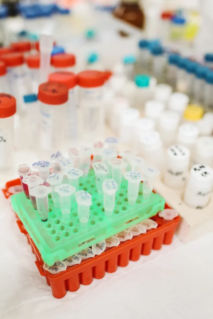 DNA testing
