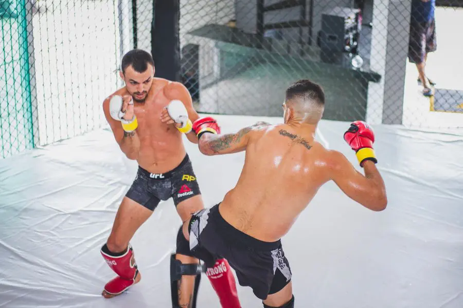 Mixed Martial Arts