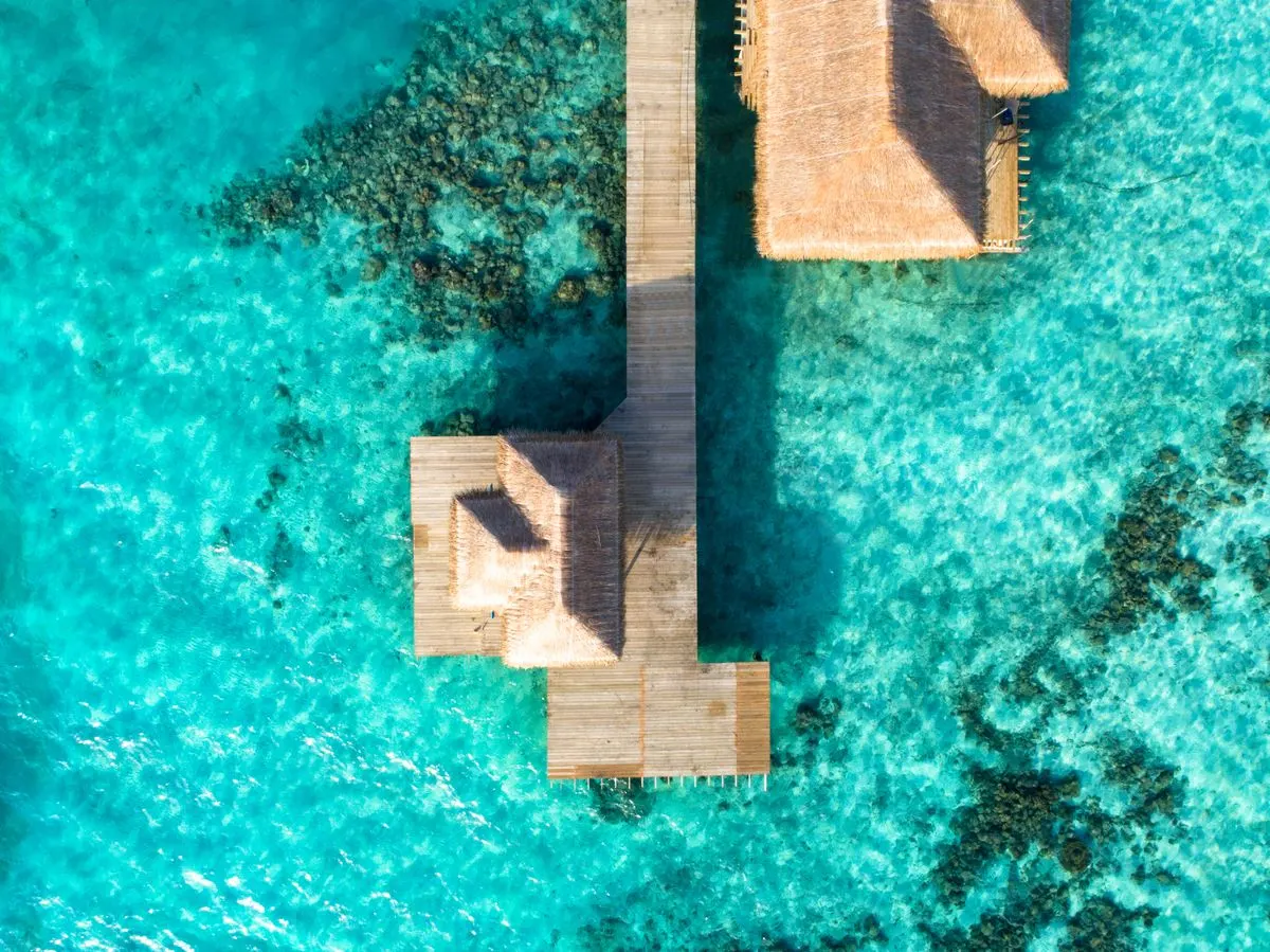 Quiet resort pool for a wellness retreat