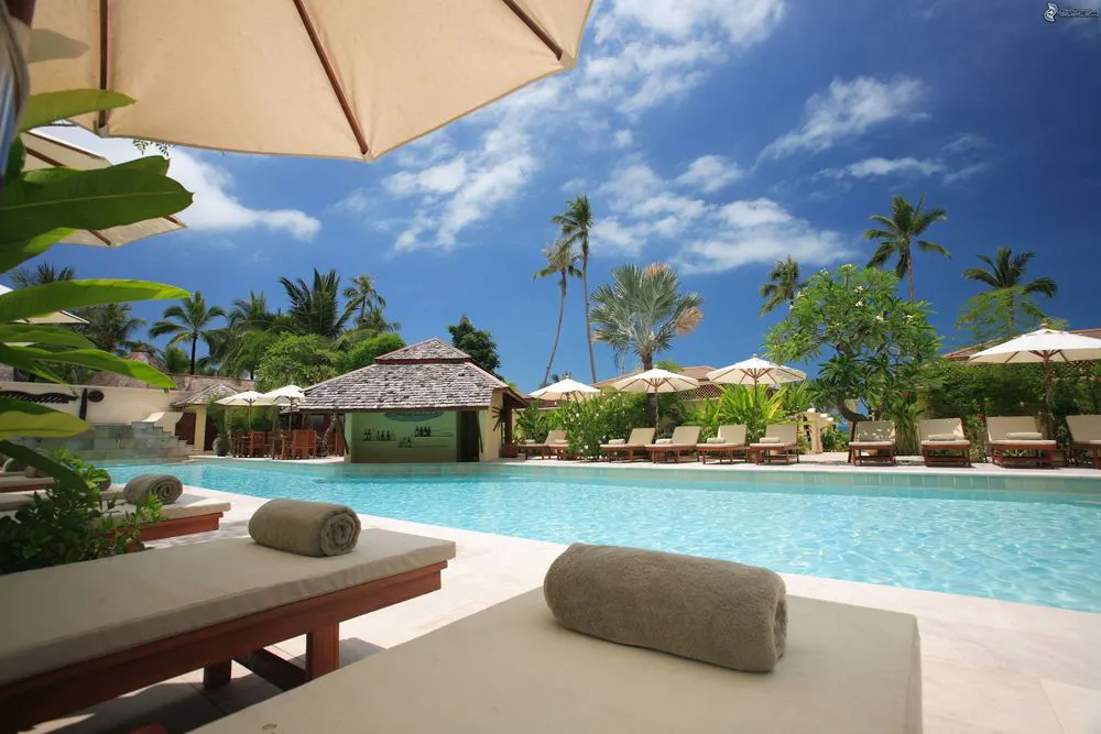Pool and loungers at a Palm Harbor rental
