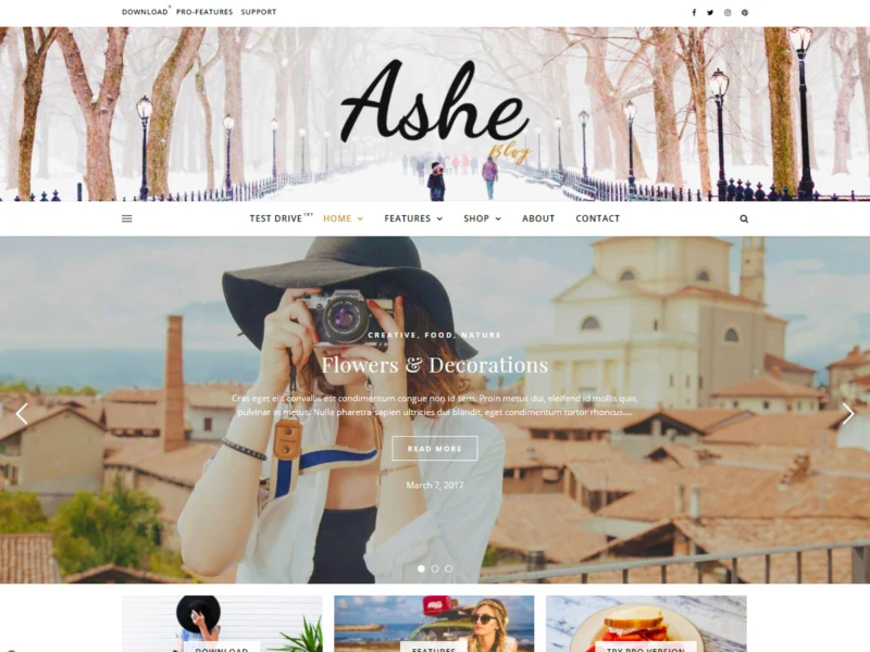 11 Best WordPress Themes for Blogs (Free & Premium) 5 Ashe free WordPress theme for blog website