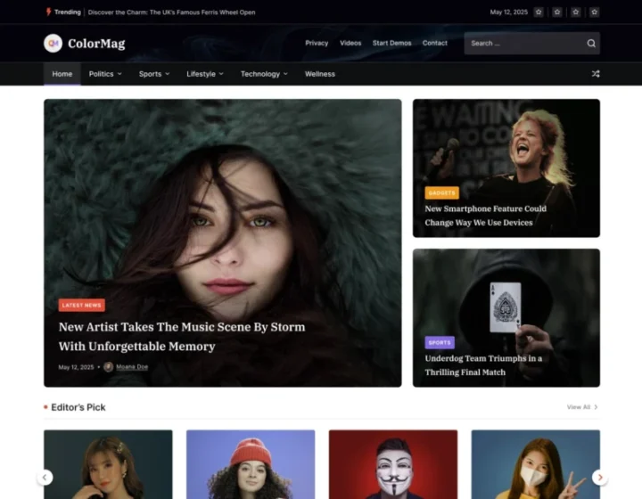 11 Best WordPress Themes for News (Free & Premium)