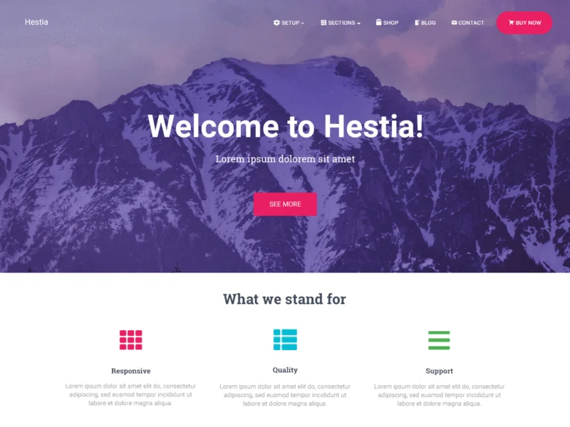 11 Best WordPress Themes for Portfolio (Free & Premium) 5 Hestia one-page free portfolio WordPress theme