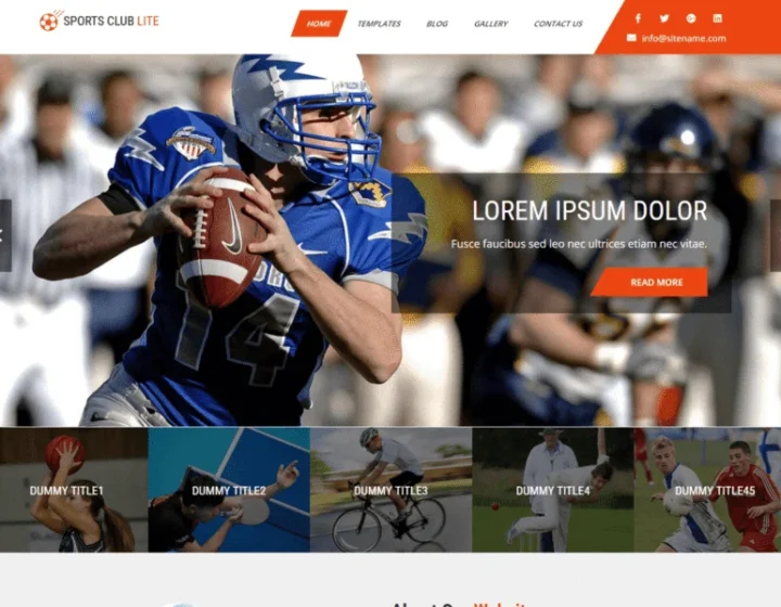10 Best Sports WordPress Themes (Free & Premium)