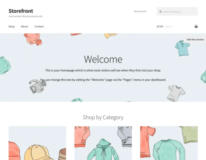 10 Best WordPress Themes for Ecommerce (Free & Premium)