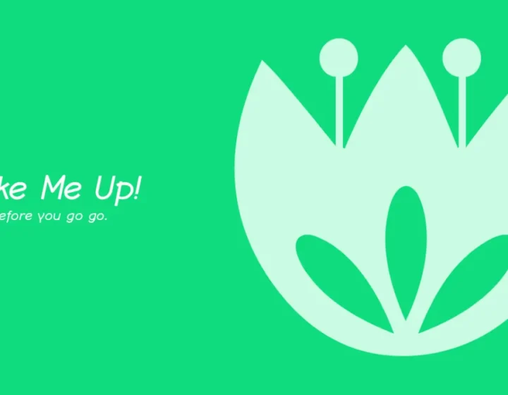 14 Best WordPress Themes for UX Portfolio (Free & Premium)