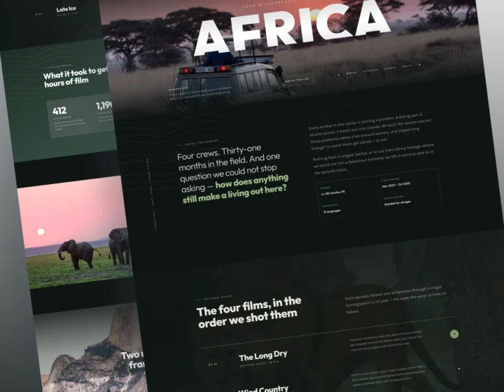 Safari WordPress Theme