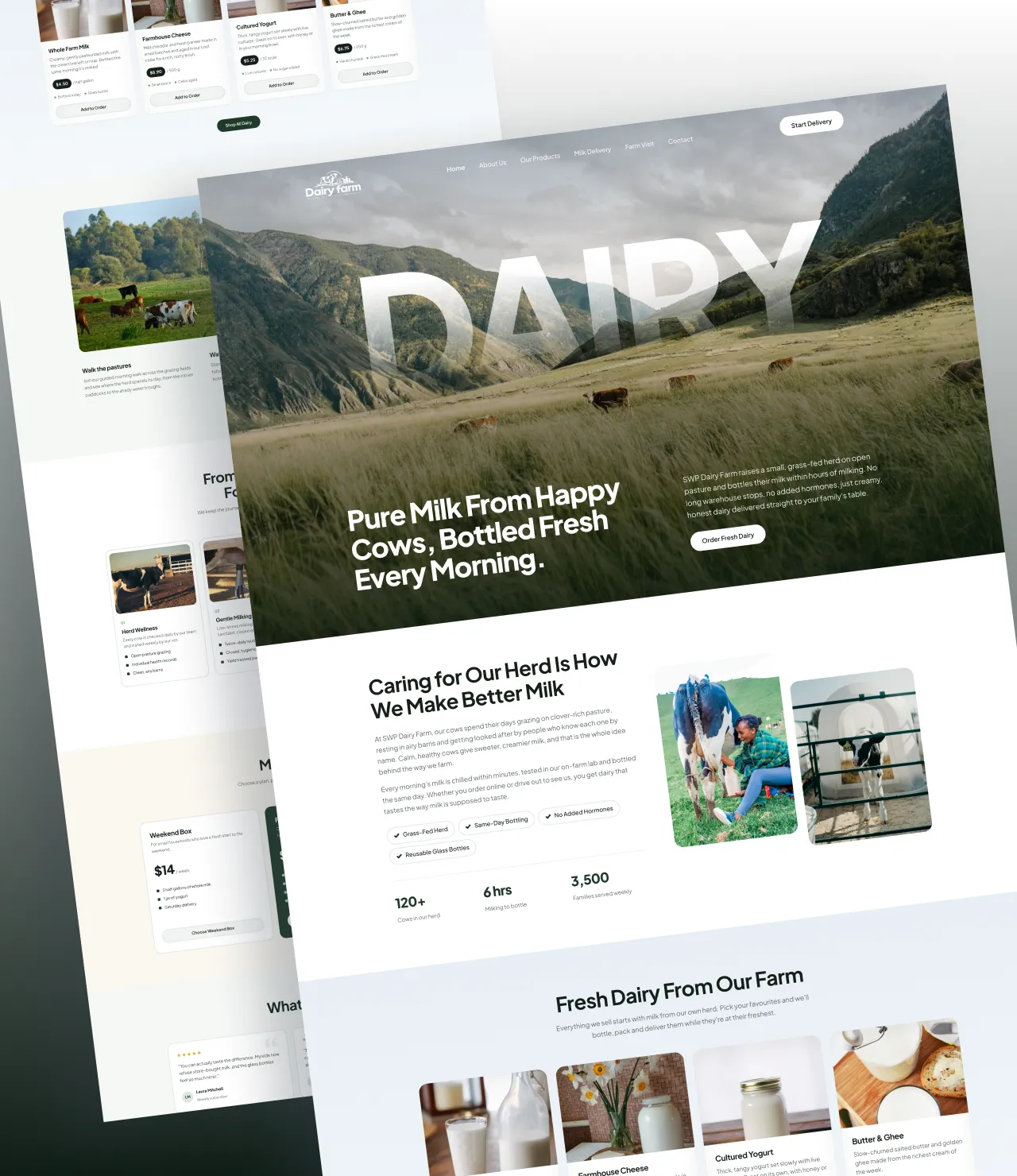 Dairy Farm WordPress Theme